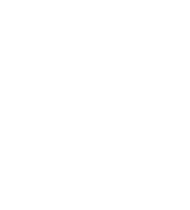 SYDA Development